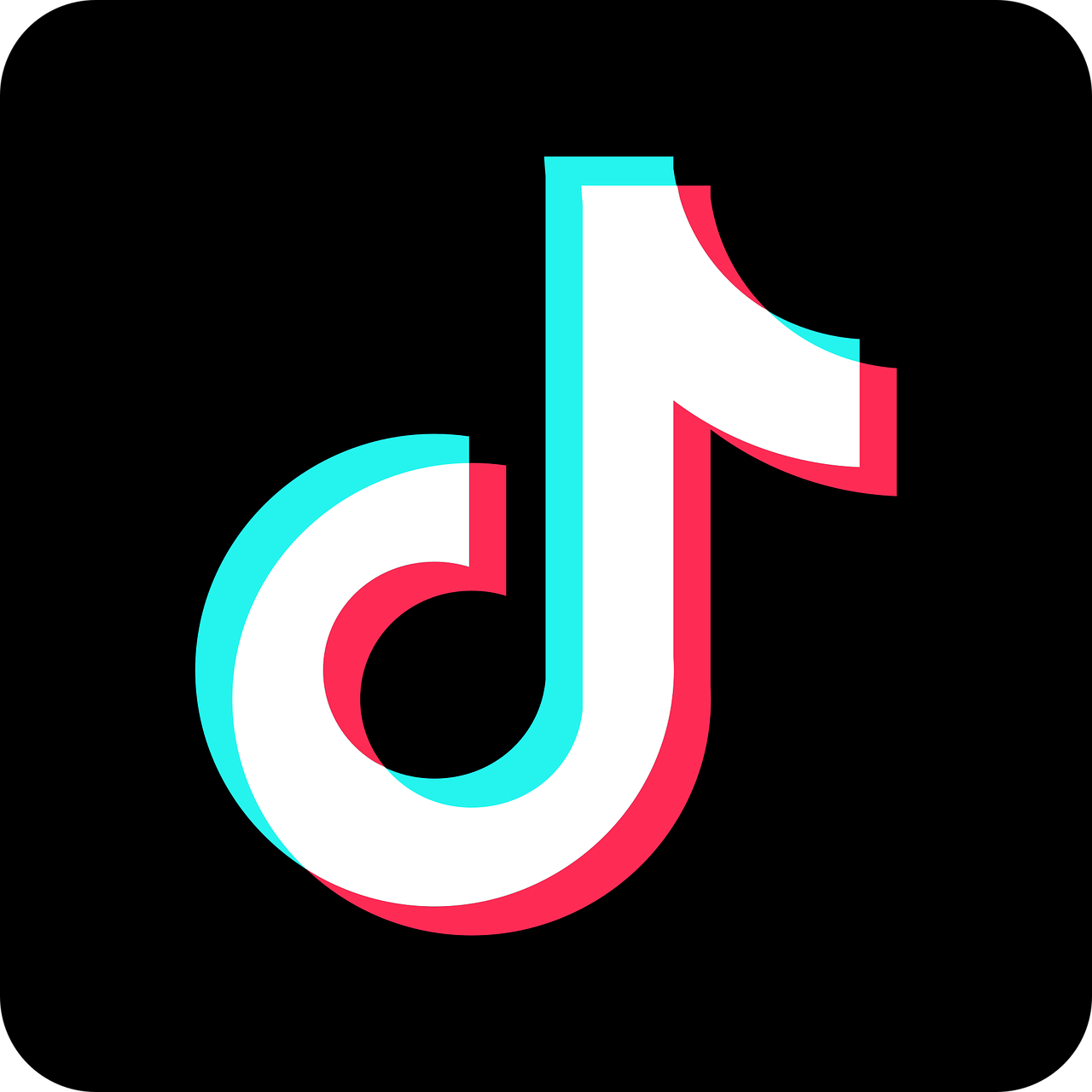 I Dual Video di Tik Tok